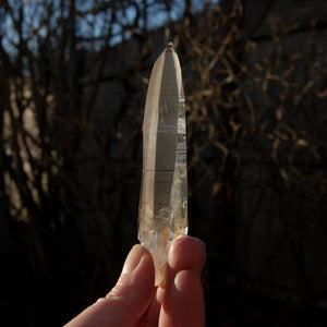 Lemurian crystal