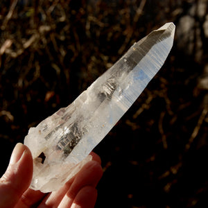 ET DT Colombian Lemurian Seed Quartz Crystal Laser Record Keeper