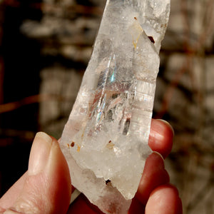 ET DT Colombian Lemurian Seed Quartz Crystal Laser Record Keeper