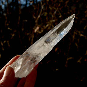 ET DT Colombian Lemurian Seed Quartz Crystal Laser Record Keeper