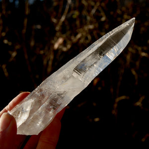 ET DT Colombian Lemurian Seed Quartz Crystal Laser Record Keeper