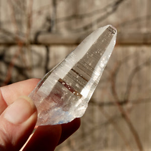 Colombian Lemurian Seed Quartz Crystal Laser Starbrary Record Keepers