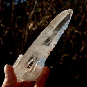 ET DT Colombian Lemurian Seed Quartz Crystal Laser Record Keeper