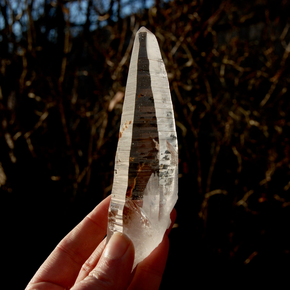 Lemurian Seed Quartz Crystal