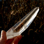 Lemurian Seed Quartz Crystal