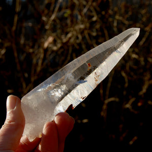 Lemurian Seed Quartz Crystal