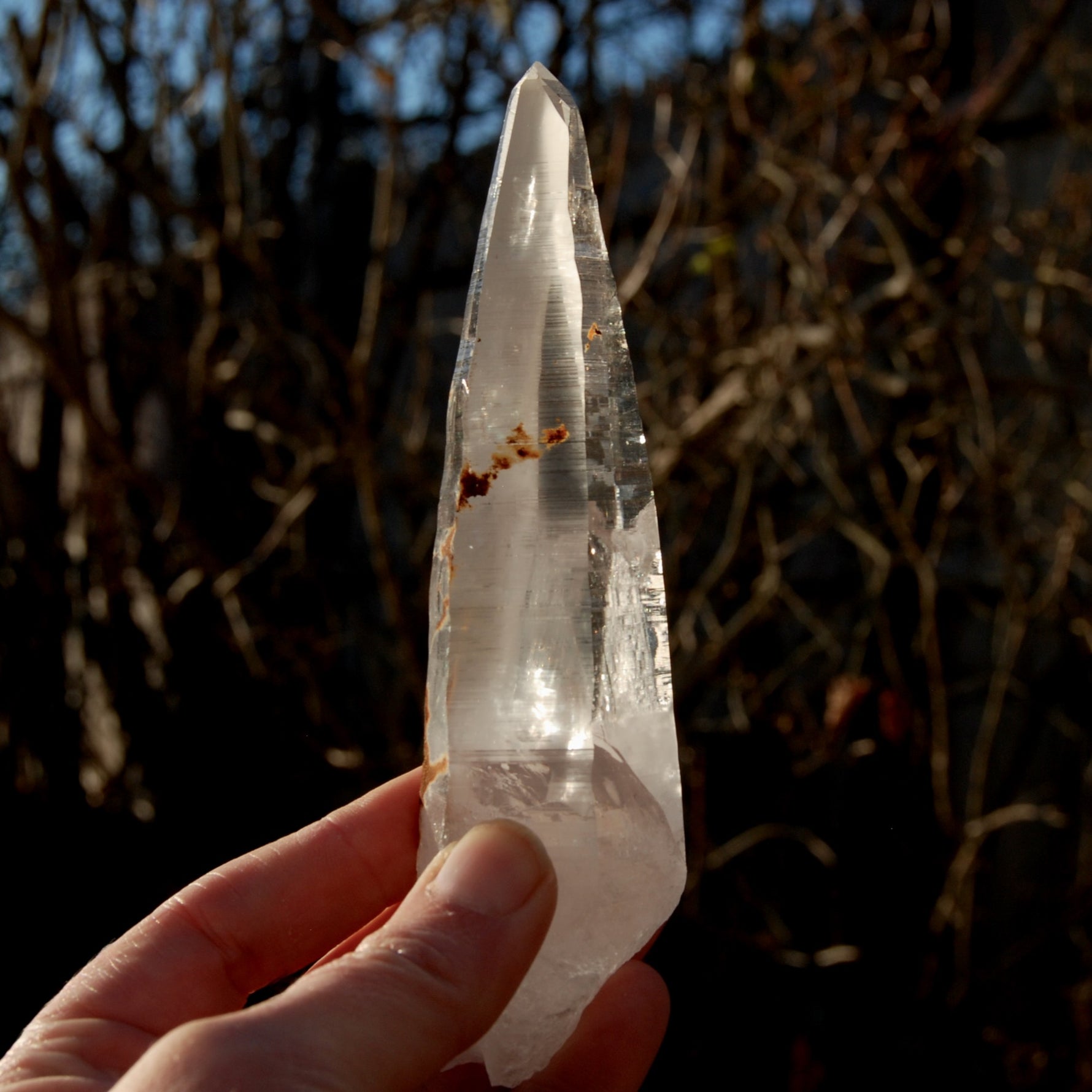 Lemurian Seed Quartz Crystal