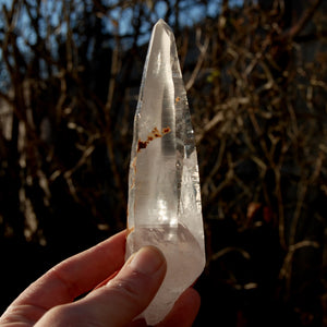 Lemurian Seed Quartz Crystal