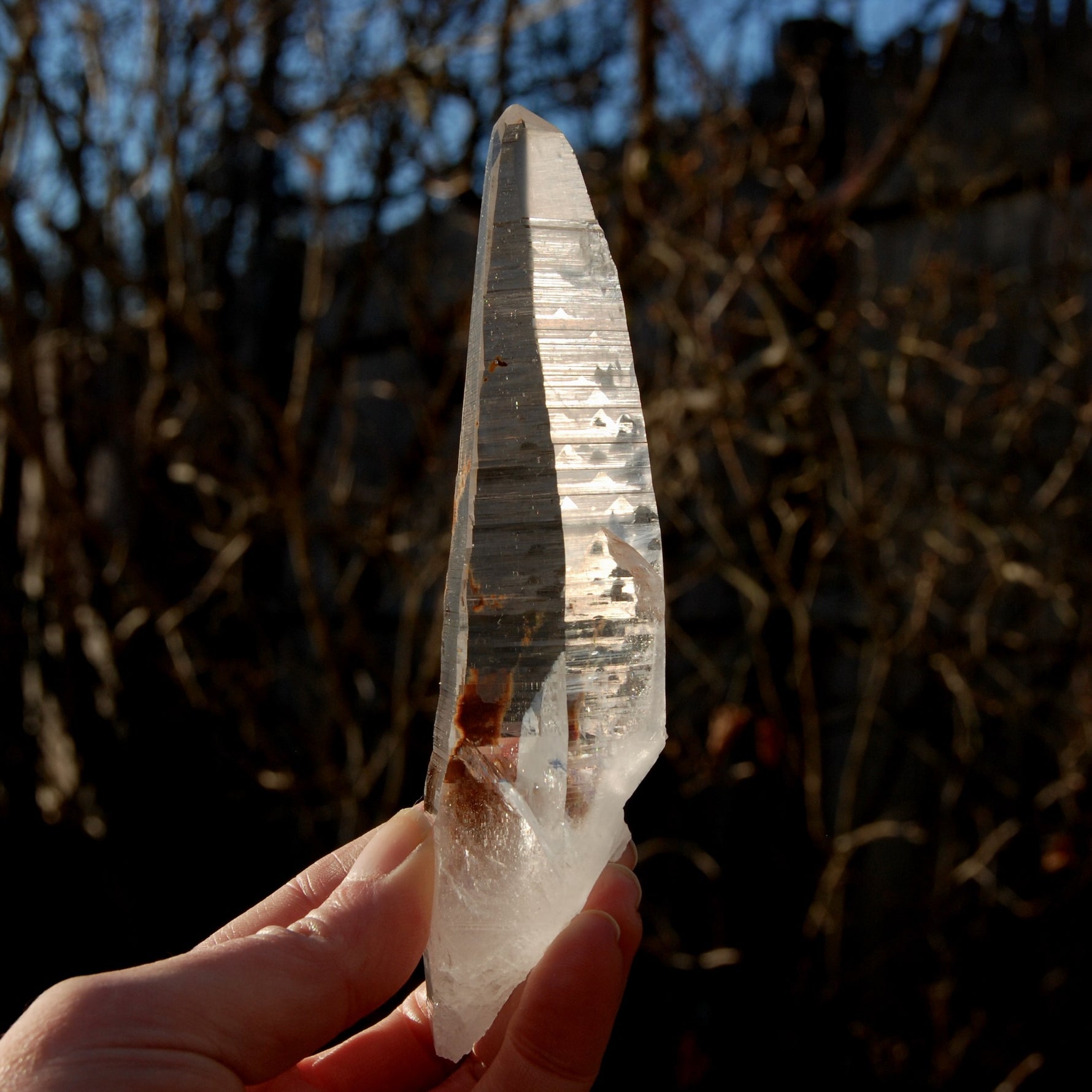 Lemurian Seed Quartz Crystal