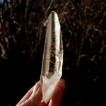 Lemurian Seed Quartz Crystal