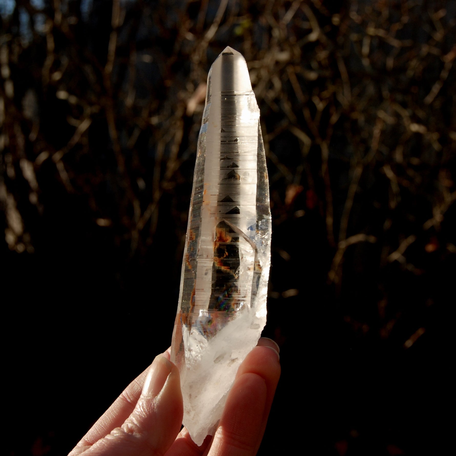 Lemurian Seed Quartz Crystal