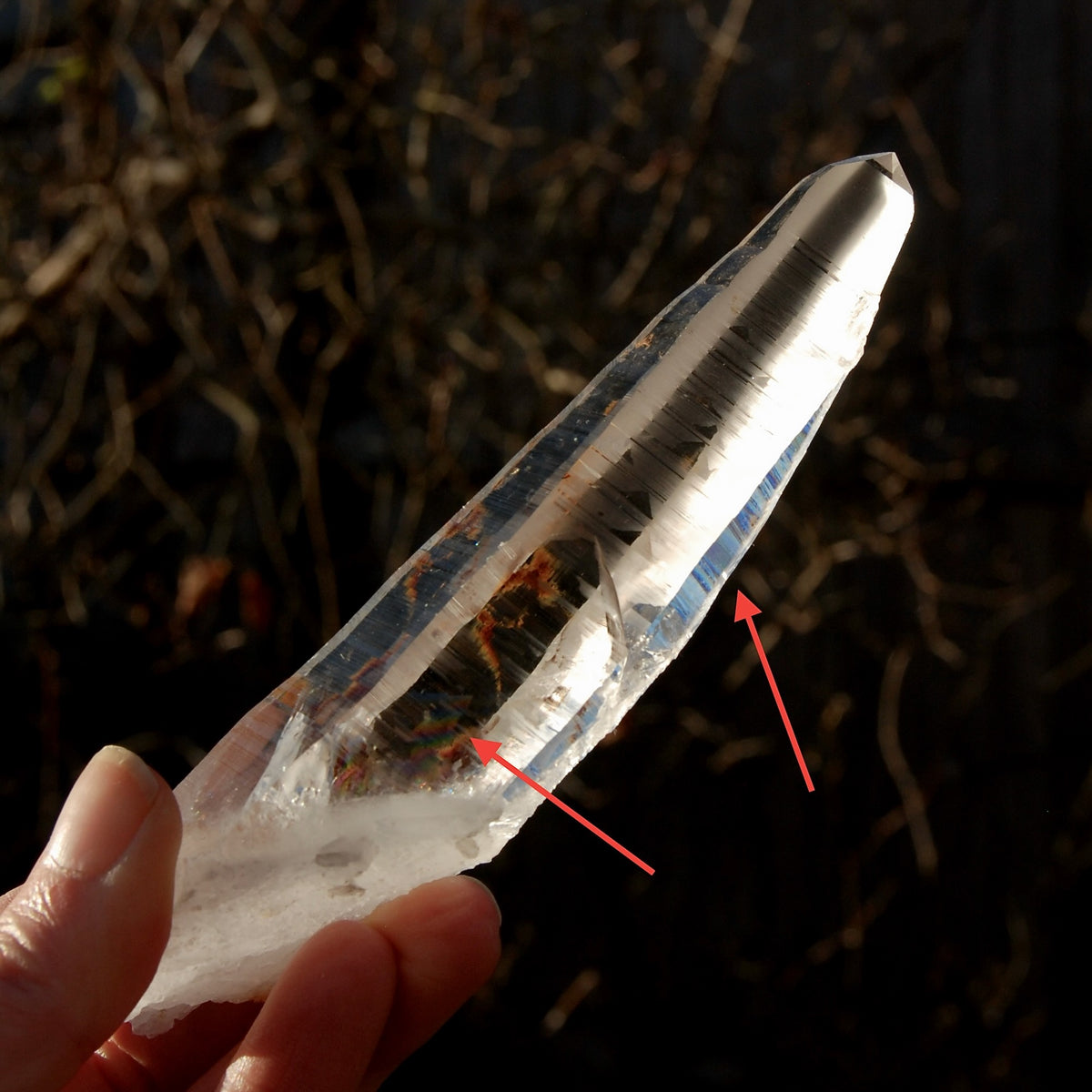 Lemurian Seed Quartz Crystal