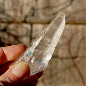 Colombian Lemurian Seed Quartz Crystal Laser Starbrary Record Keepers