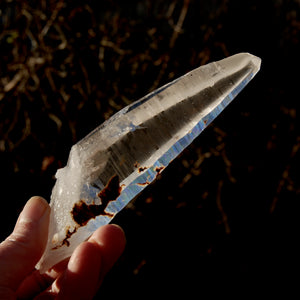 Lemurian Seed Quartz Crystal