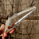 Lemurian Seed Quartz Crystal