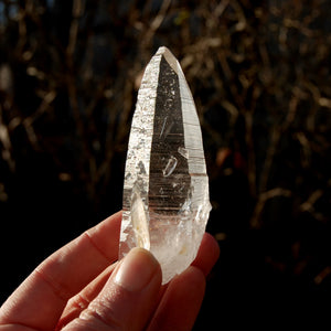 DT ET Colombian Lemurian Seed Quartz Crystal