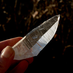 DT ET Colombian Lemurian Seed Quartz Crystal