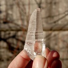 Load image into Gallery viewer, Colombian Lemurian Seed Quartz Crystal Laser Starbrary Record Keepers
