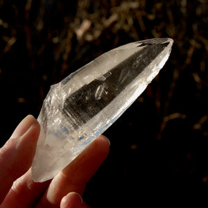 DT ET Colombian Lemurian Seed Quartz Crystal