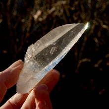 Load image into Gallery viewer, DT ET Colombian Lemurian Seed Quartz Crystal
