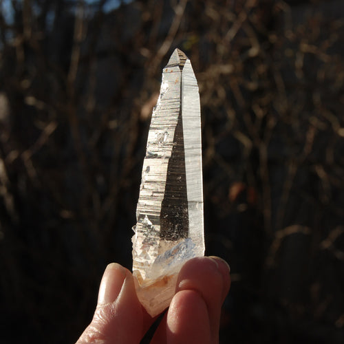 Lemurian 