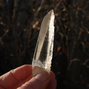 Lemurian 