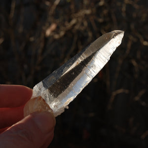 Lemurian 