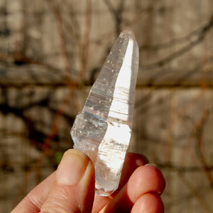 Colombian Lemurian Seed Quartz Crystal Laser Starbrary Record Keepers