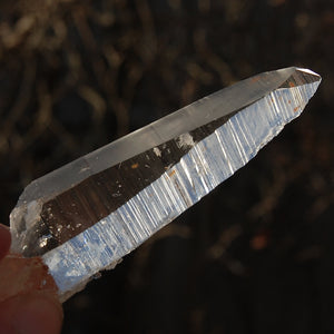 Lemurian 