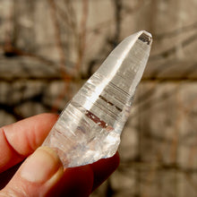 Load image into Gallery viewer, Colombian Lemurian Seed Quartz Crystal Laser Starbrary Record Keepers
