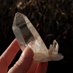 Record Keeper Colombian Lemurian Quartz Crystal Cluster