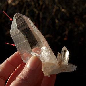 Record Keeper Colombian Lemurian Quartz Crystal Cluster