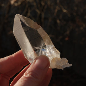 Record Keeper Colombian Lemurian Quartz Crystal Cluster