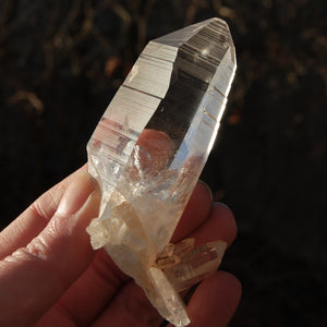 Record Keeper Colombian Lemurian Quartz Crystal Cluster