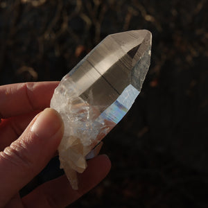 Record Keeper Colombian Lemurian Quartz Crystal Cluster