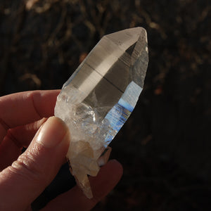 Record Keeper Colombian Lemurian Quartz Crystal Cluster