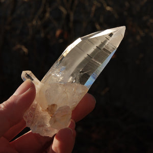 Record Keeper Colombian Lemurian Quartz Crystal Cluster