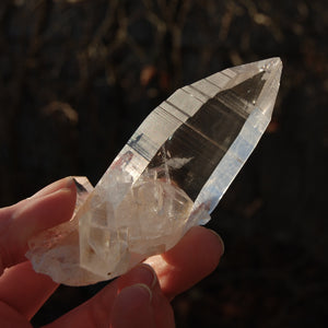 Record Keeper Colombian Lemurian Quartz Crystal Cluster