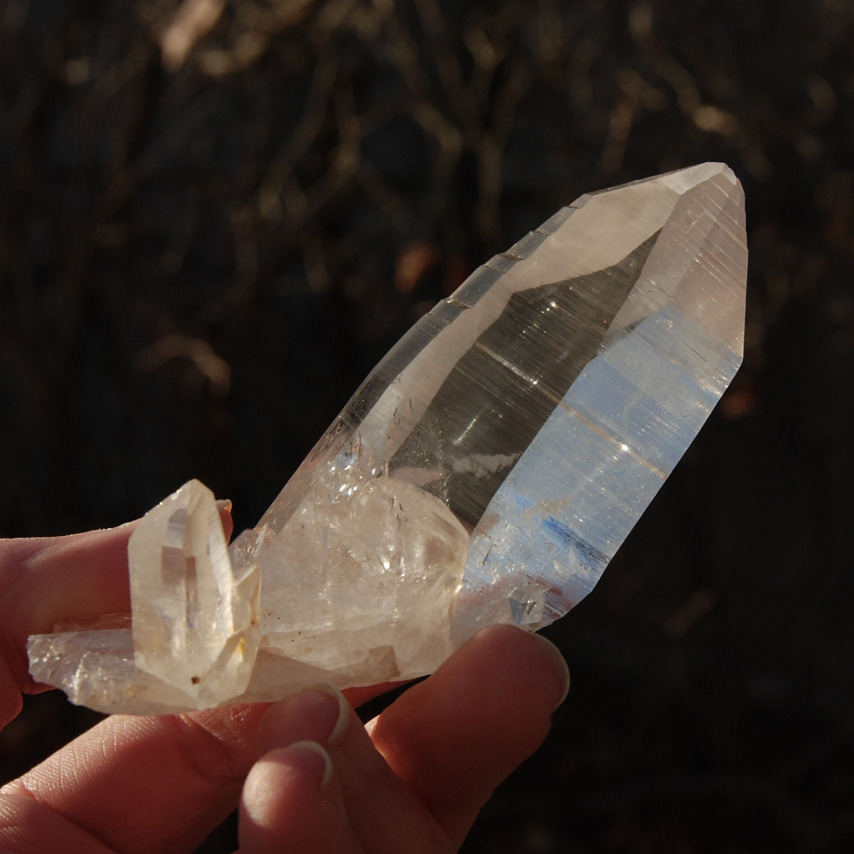 Record Keeper Colombian Lemurian Quartz Crystal Cluster