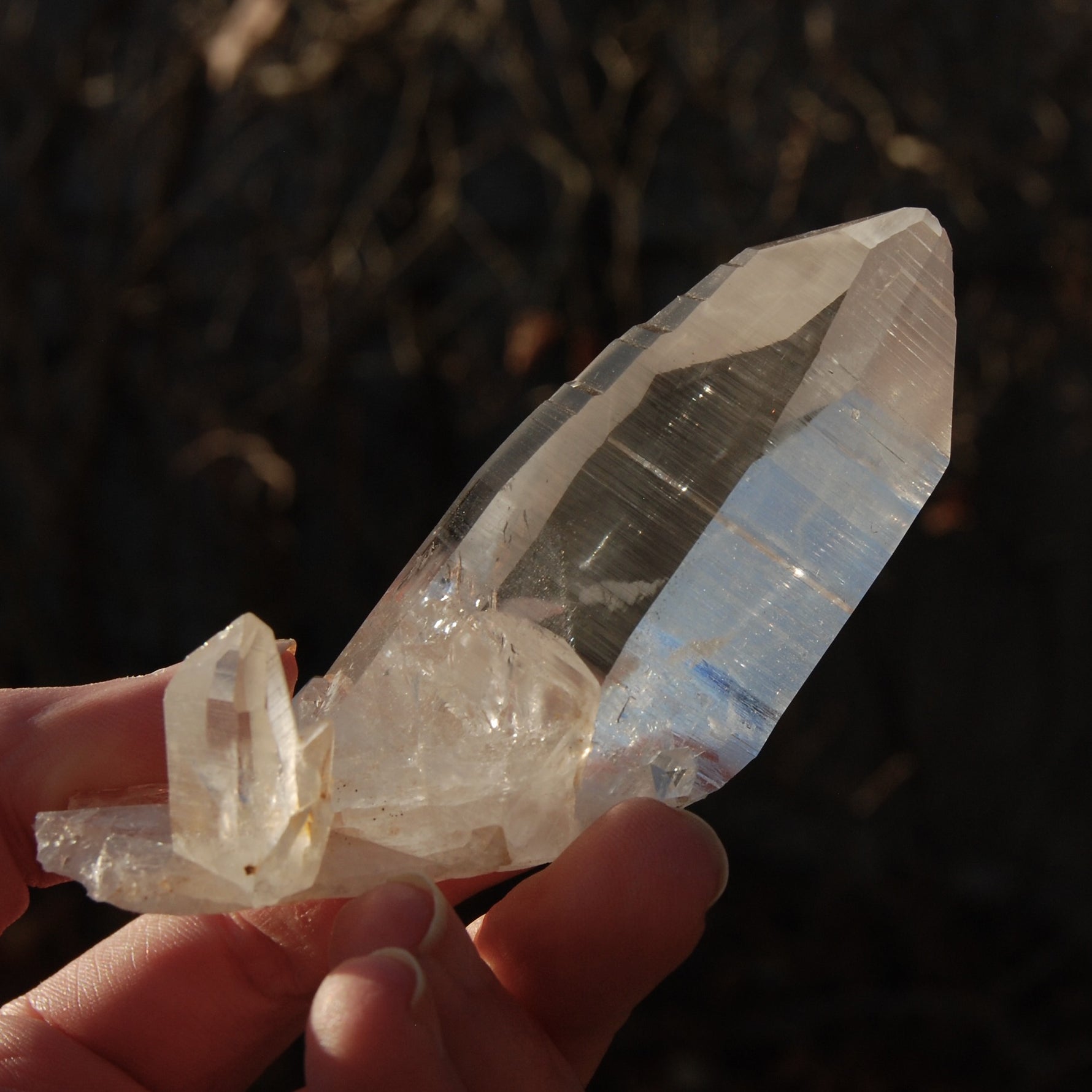 Record Keeper Colombian Lemurian Quartz Crystal Cluster