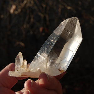 Record Keeper Colombian Lemurian Quartz Crystal Cluster