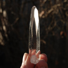 Load image into Gallery viewer, Record Keeper Lemurian Seed Quartz Crystal Laser Starbrary
