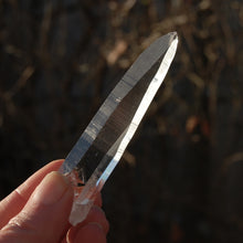 Load image into Gallery viewer, Record Keeper Lemurian Seed Quartz Crystal Laser Starbrary
