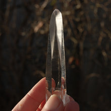 Load image into Gallery viewer, Record Keeper Lemurian Seed Quartz Crystal Laser Starbrary
