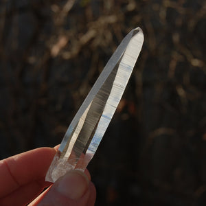 Record Keeper Lemurian Seed Quartz Crystal Laser Starbrary