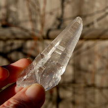 Load image into Gallery viewer, Colombian Lemurian Seed Quartz Crystal Laser Starbrary Record Keepers
