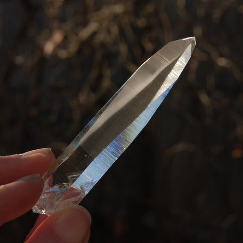 Record Keeper Lemurian Seed Quartz Crystal Laser Starbrary