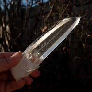 Lemurian Seed Quartz Inset Cross Crystal