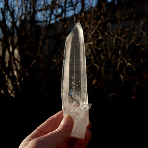 Lemurian Seed Quartz Inset Cross Crystal