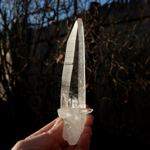 Lemurian Seed Quartz Inset Cross Crystal